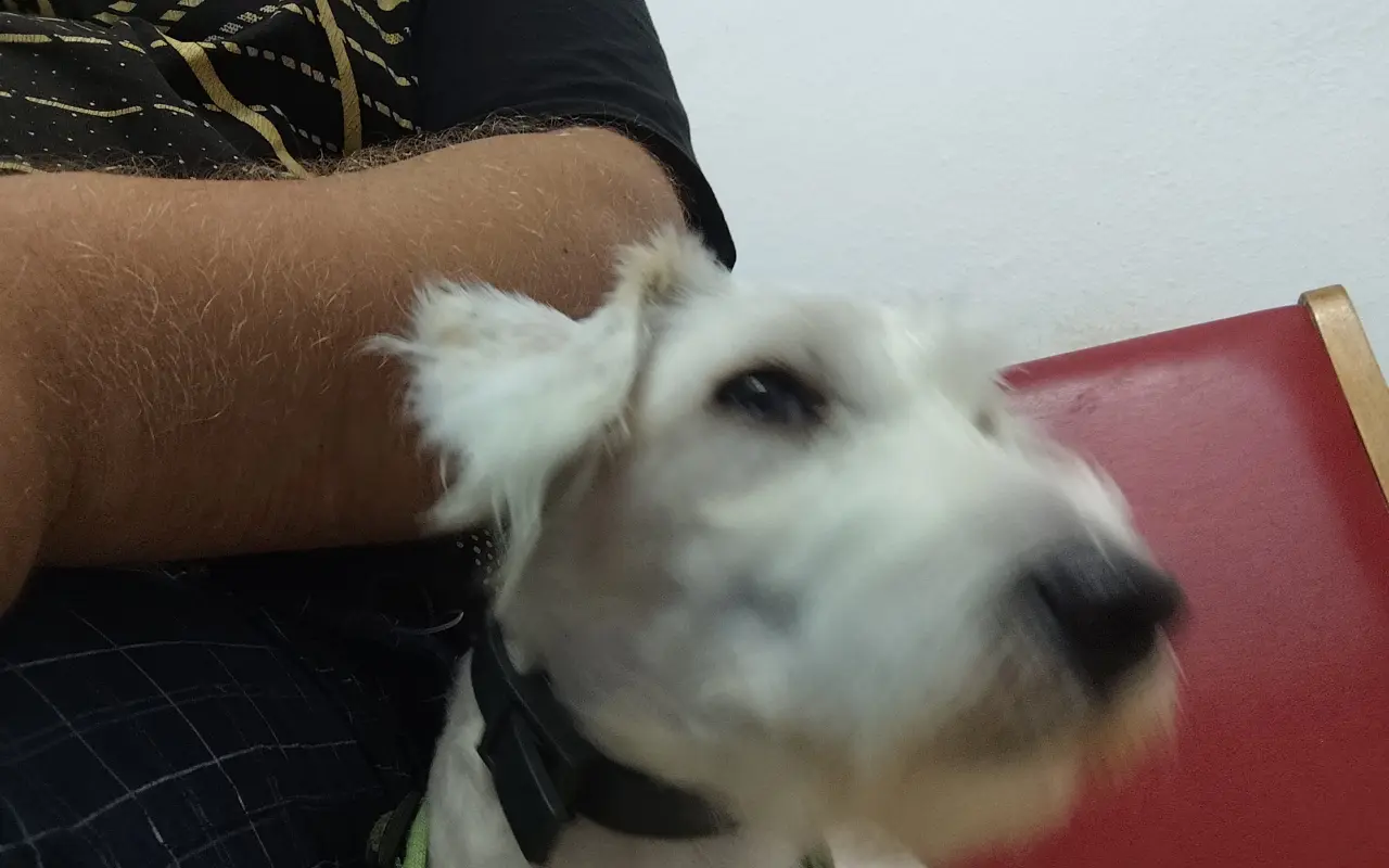 Pomohli ste Lackymu a Mariánovi