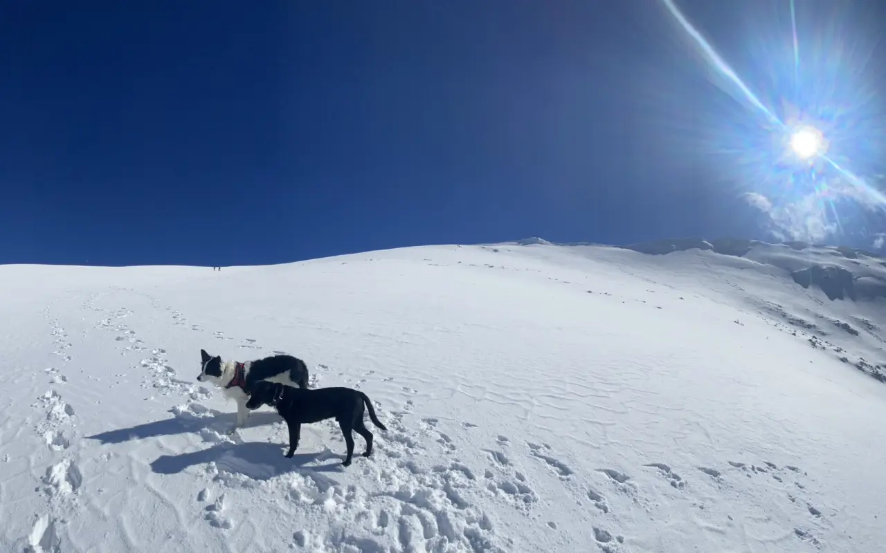 Darujme Benjimu nový život bez bolesti