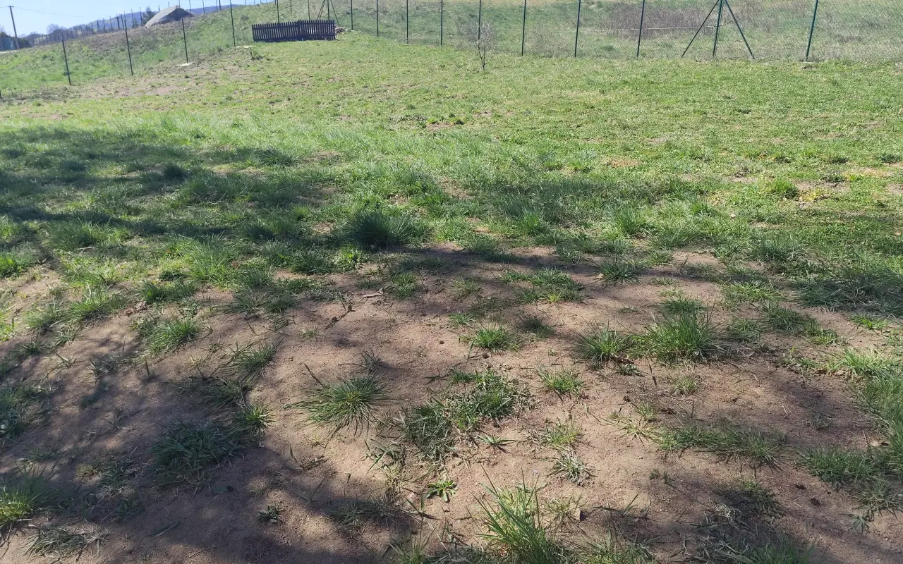 Školská záhrada ako živá učebňa