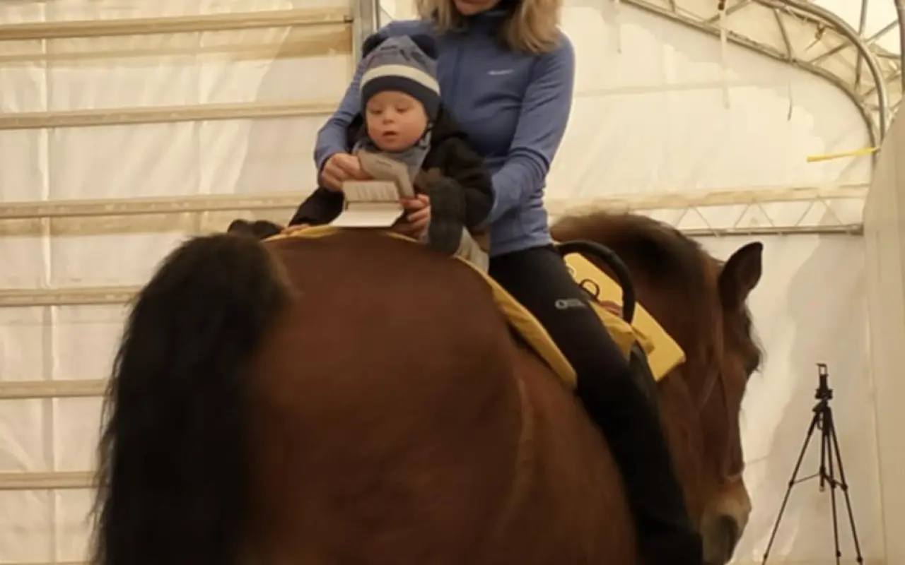 Dôstojný domov pre tichých terapeutov - liečia a menia sny