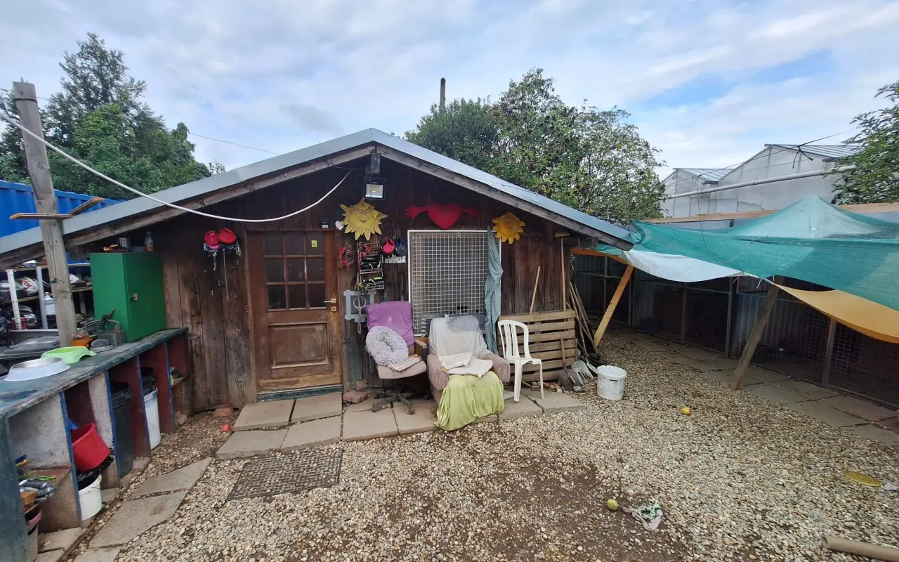 main photo image