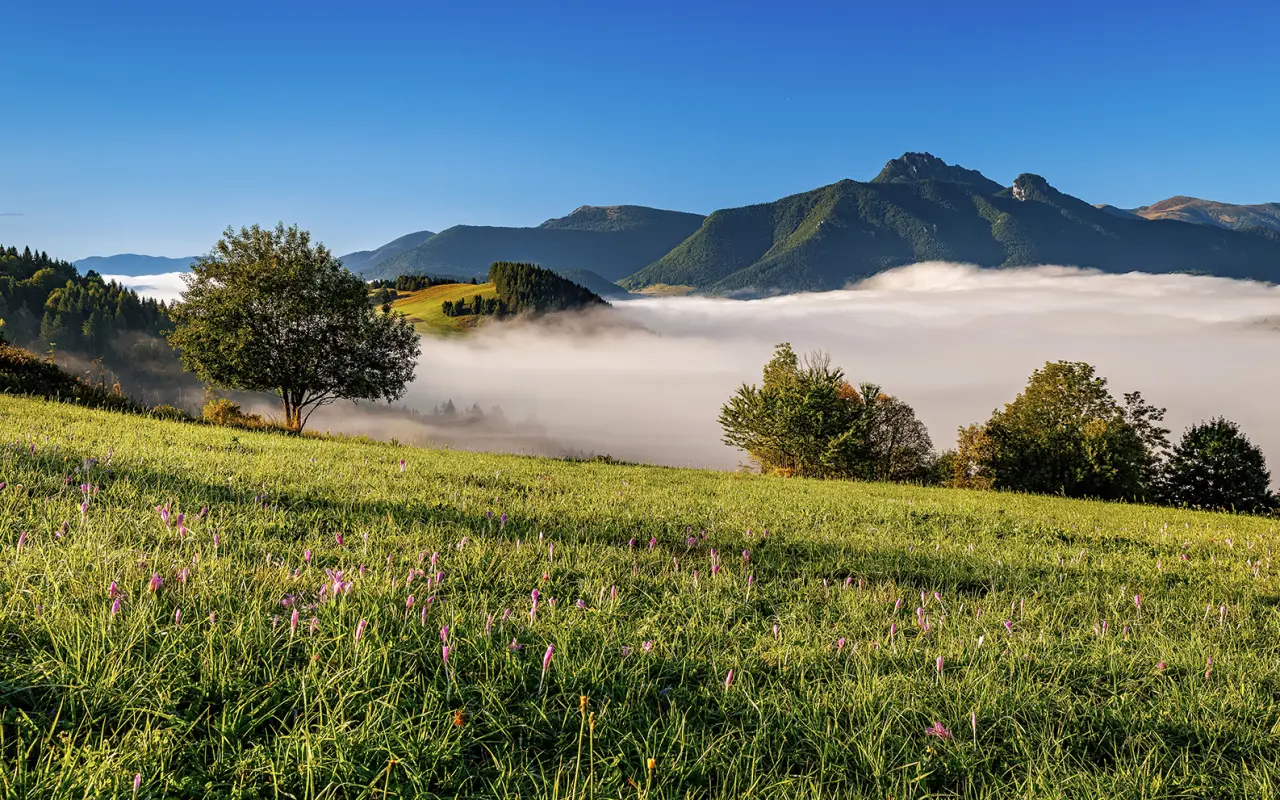 Slovensko, krajina príbehov – podporte obrazovú knihu príbehov, legiend a poézie