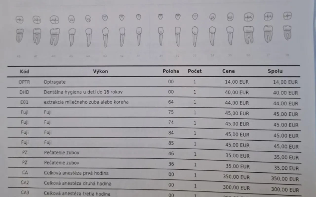 Pomohli ste Emmke absolvovať ošetrenie zúbkov v narkóze