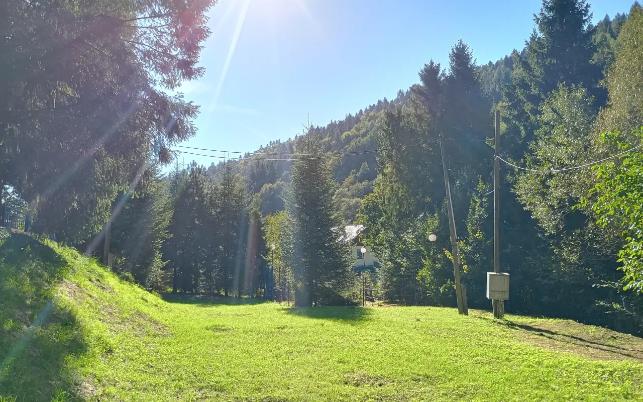 Zelené Žakarovce: Podporte nákup a výsadbu 50 stromov.