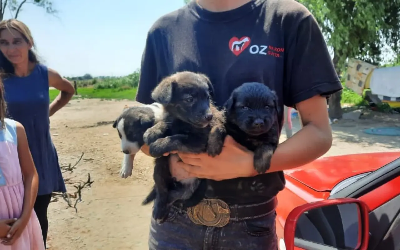OZ Na konci sveta: Staviame nádej pre zvieratá od základov
