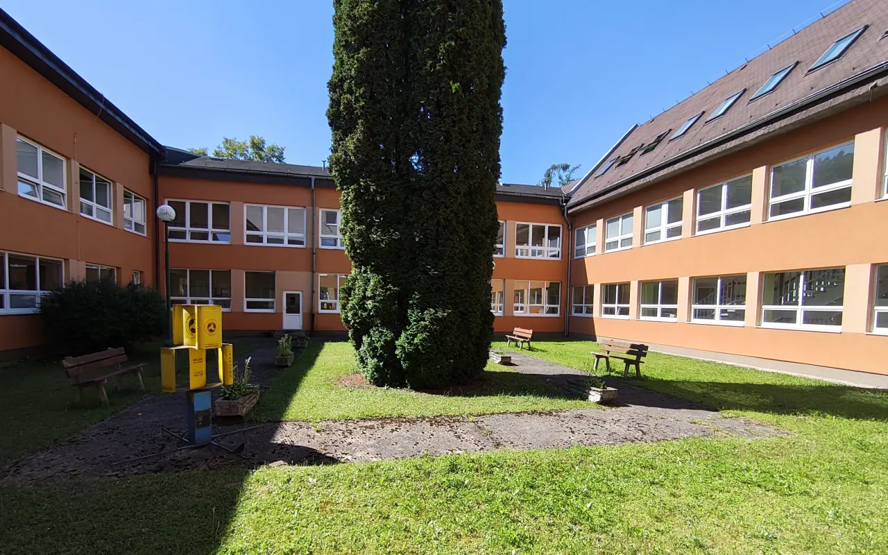 main photo image