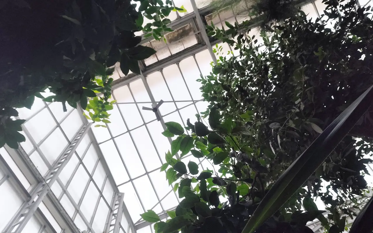 Znížme uhlíkovú stopu v Botanickej záhrade UPJŠ