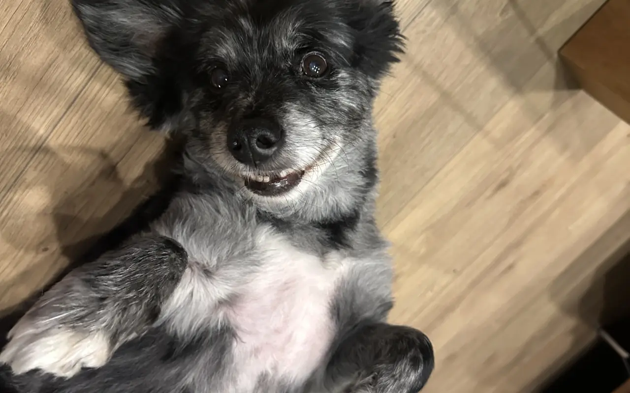 Pomôžme Filipkovi v boji s nádorom