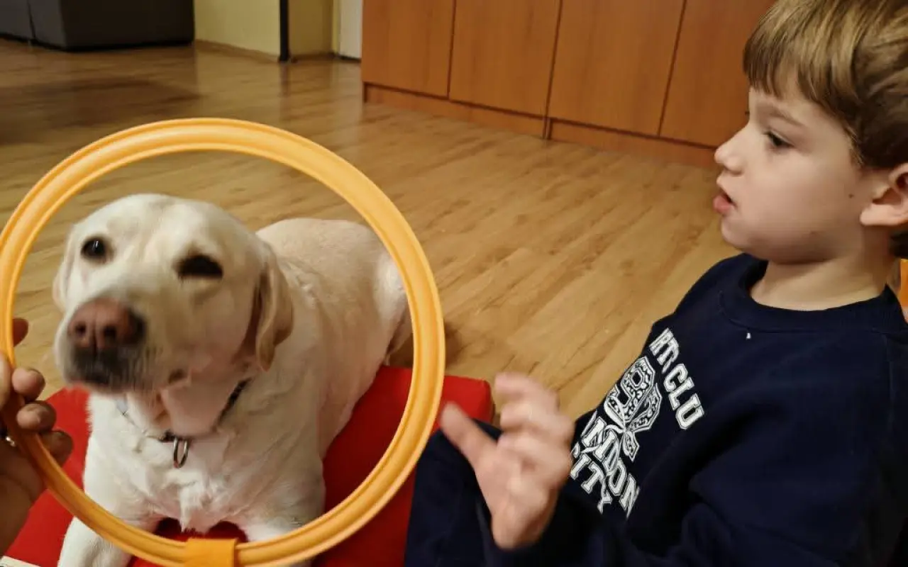 Pomôžme Miškovi lepšie porozumieť svetu