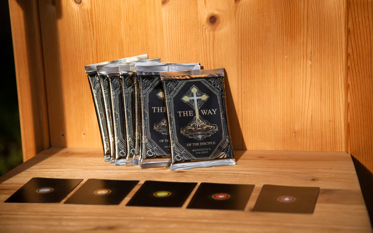 Podporili ste vznik hry The Way of the Disciple