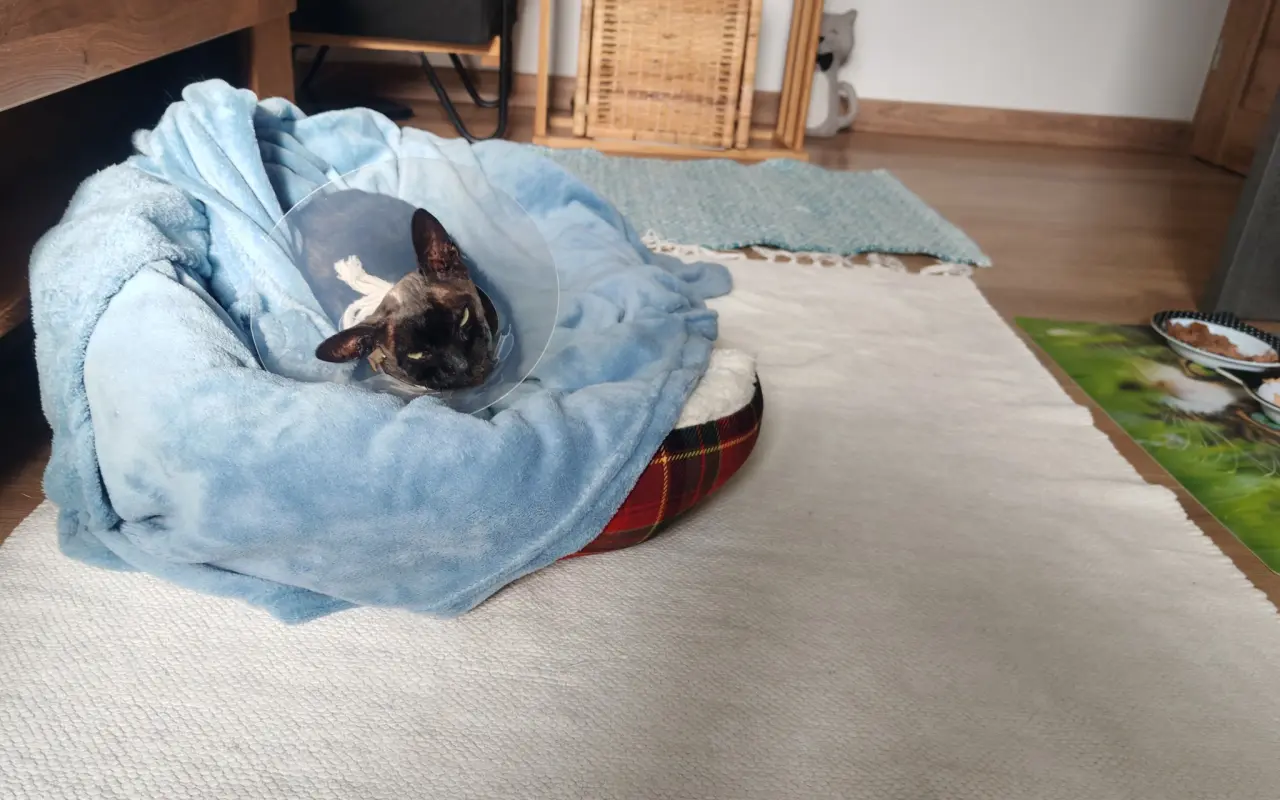 Laruška bojuje o život – pomôžme jej zvíťaziť nad bolesťou