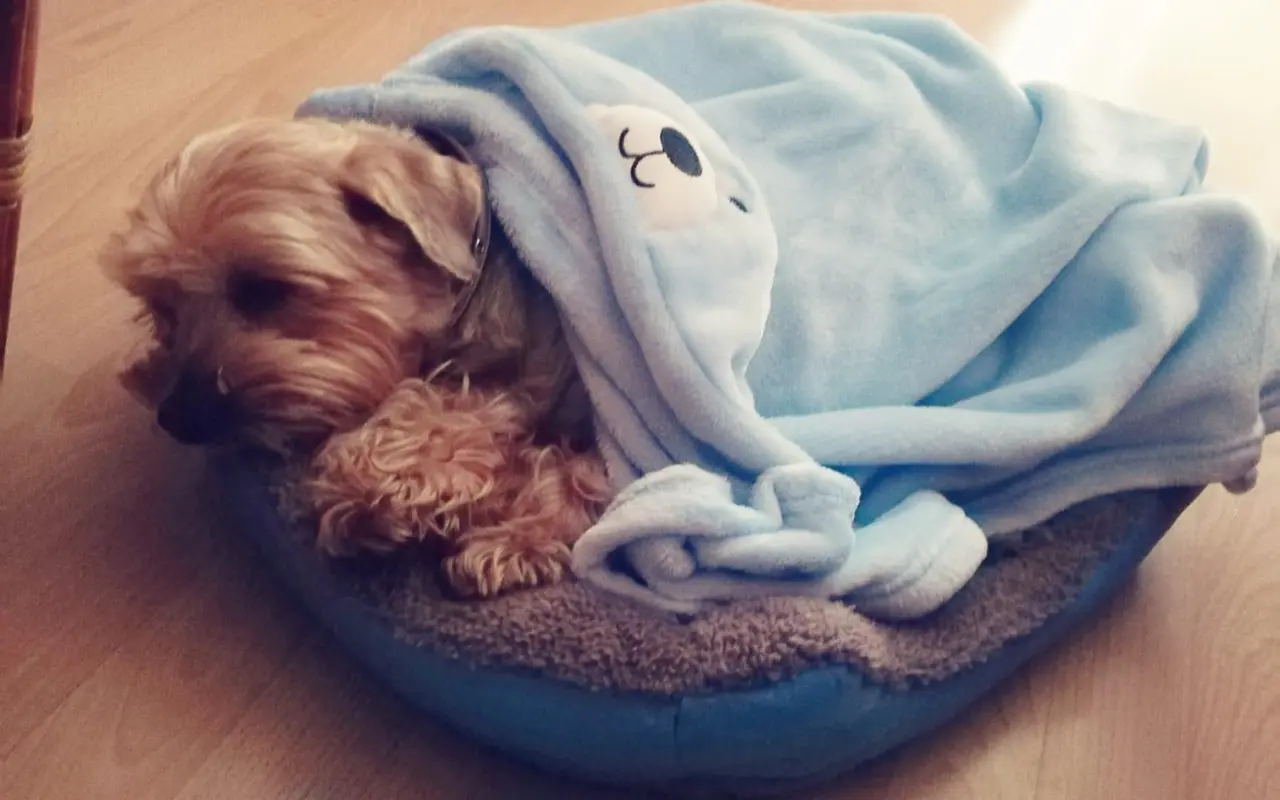 Pomôžme Charliemu získať späť kúsok života