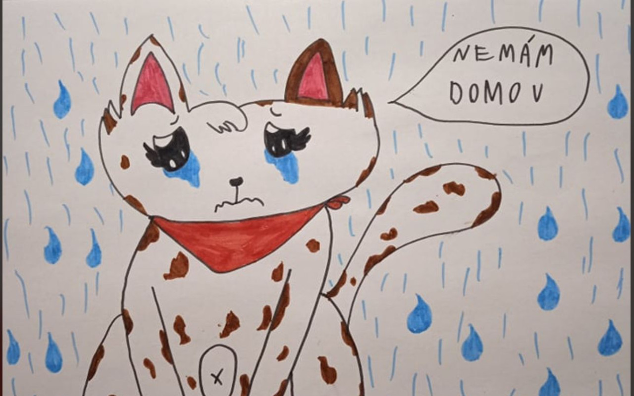 Buďte pri zrode prvého útulku v Prešove
