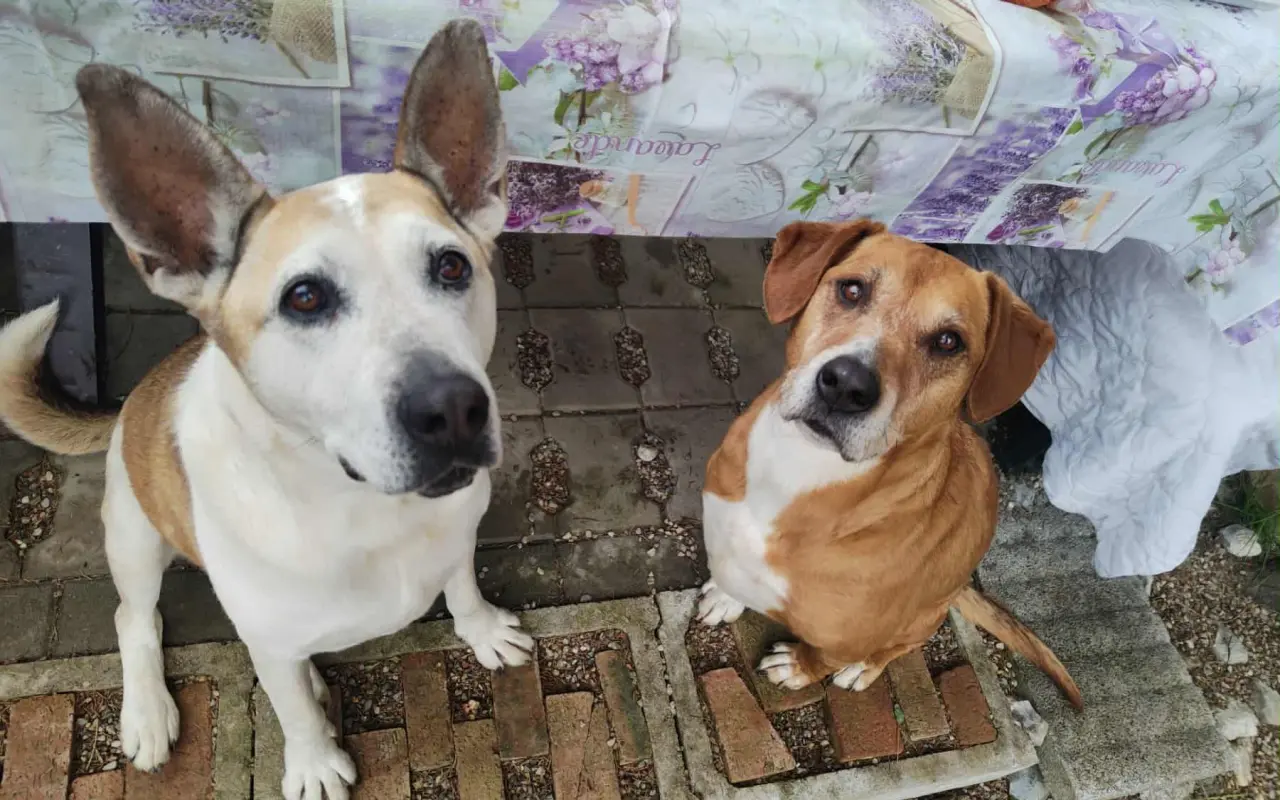 Stará chalúpka sa stala útočiskom pre tých, čo nevedia prosiť o pomoc