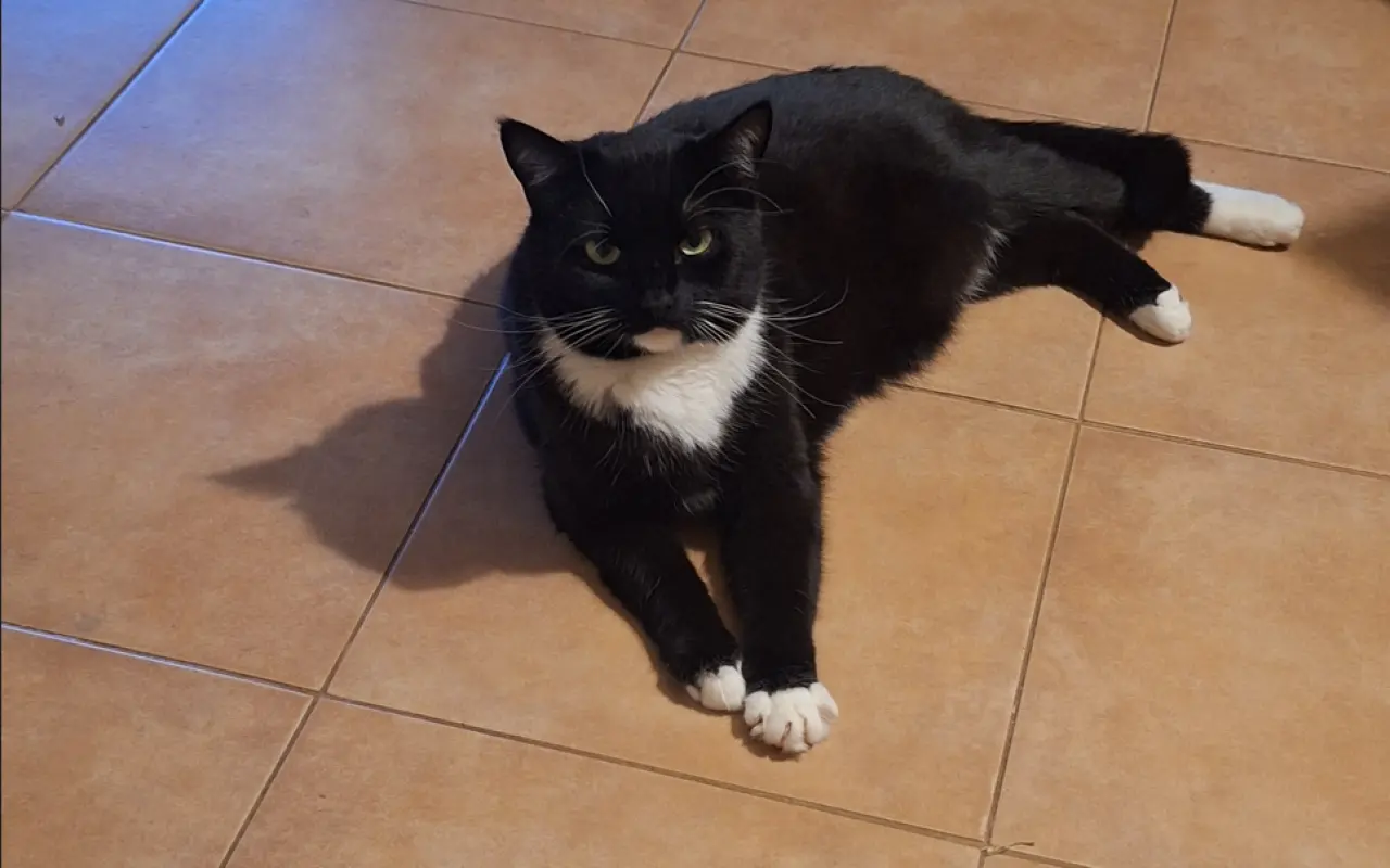 Pomôžme Mikešovi znovu sa nadýchnuť