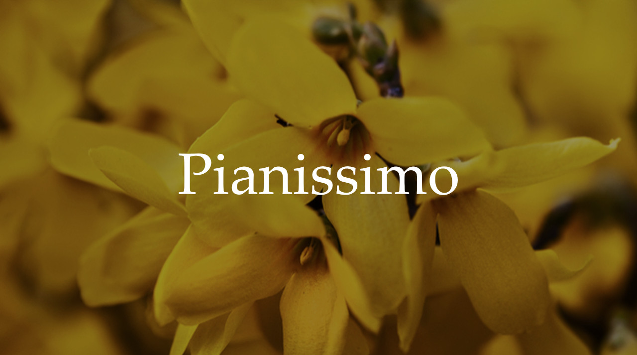 Podpor absolventský film "Pianissimo"