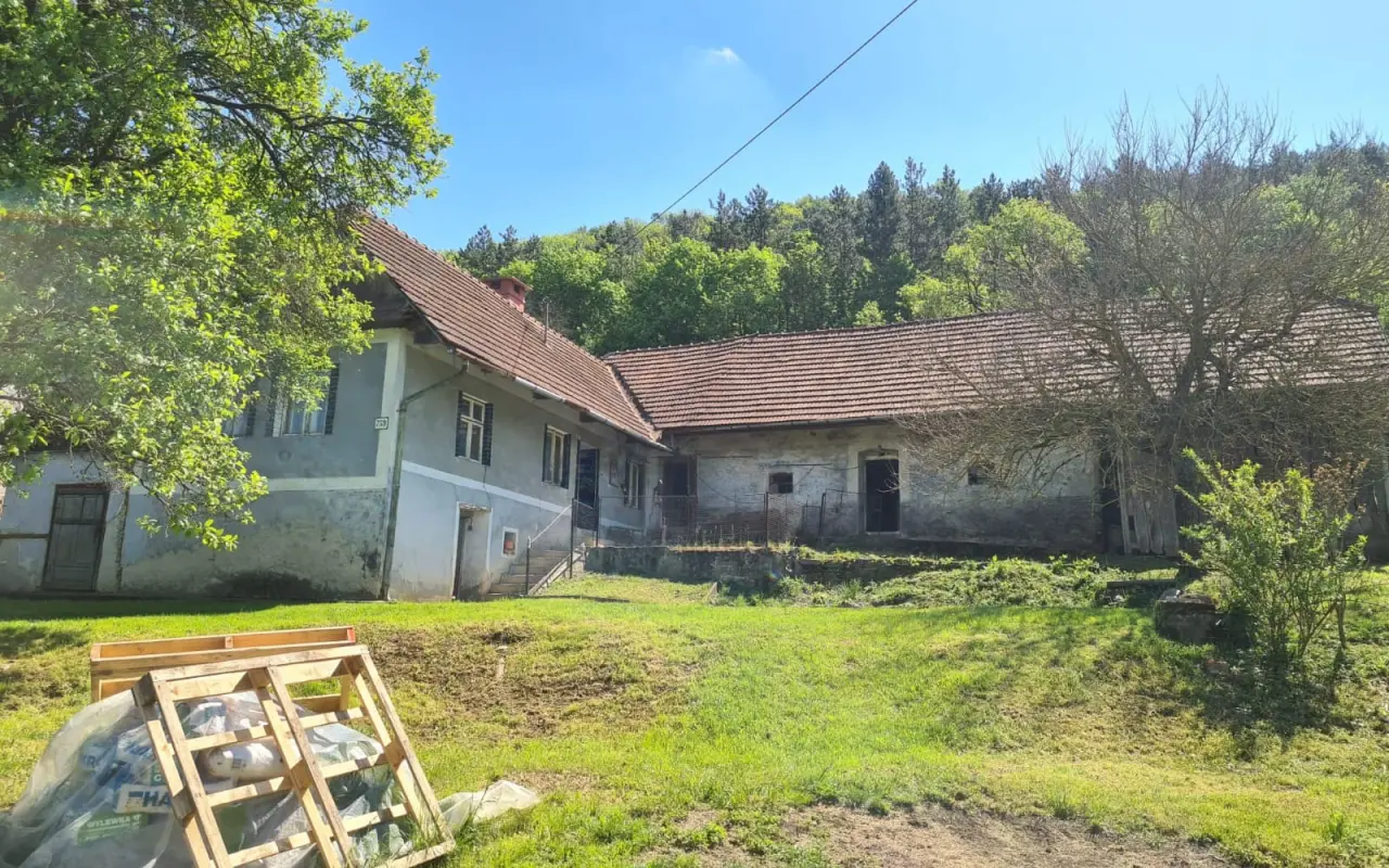 Vybudujme spoločne azyl pre hendikepované zvieratá