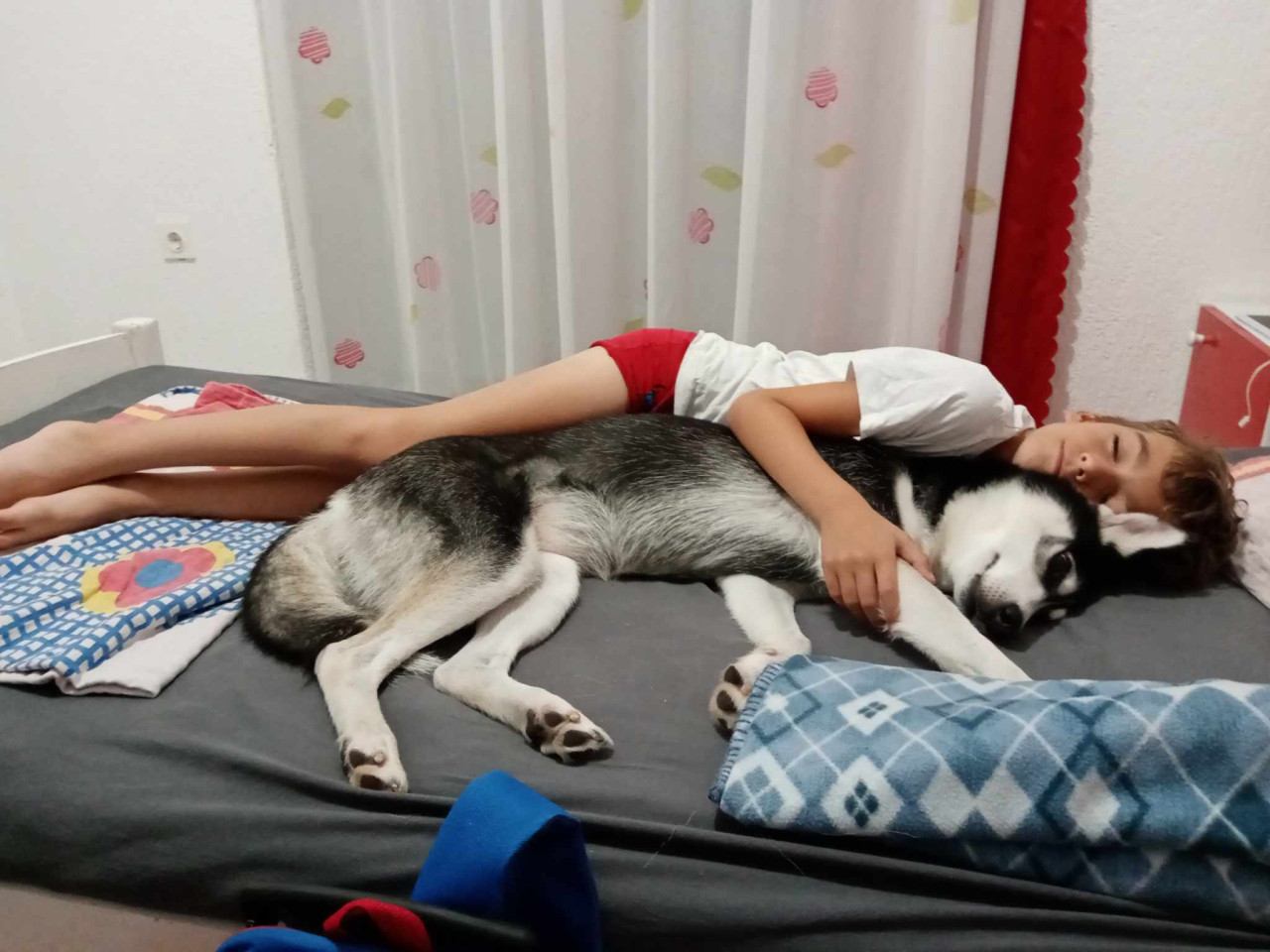 Uctime si Elišku