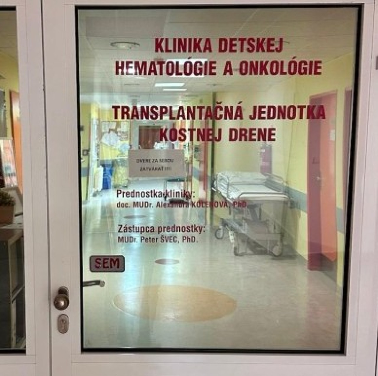 Pomôžte s liečbou vírusovej infekcie po transplantácii krvotvorných buniek u dieťaťa