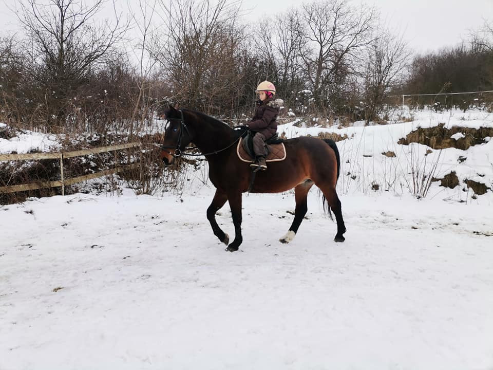 Pomôžte nám ochrániť deti a kone pred zlým počasím