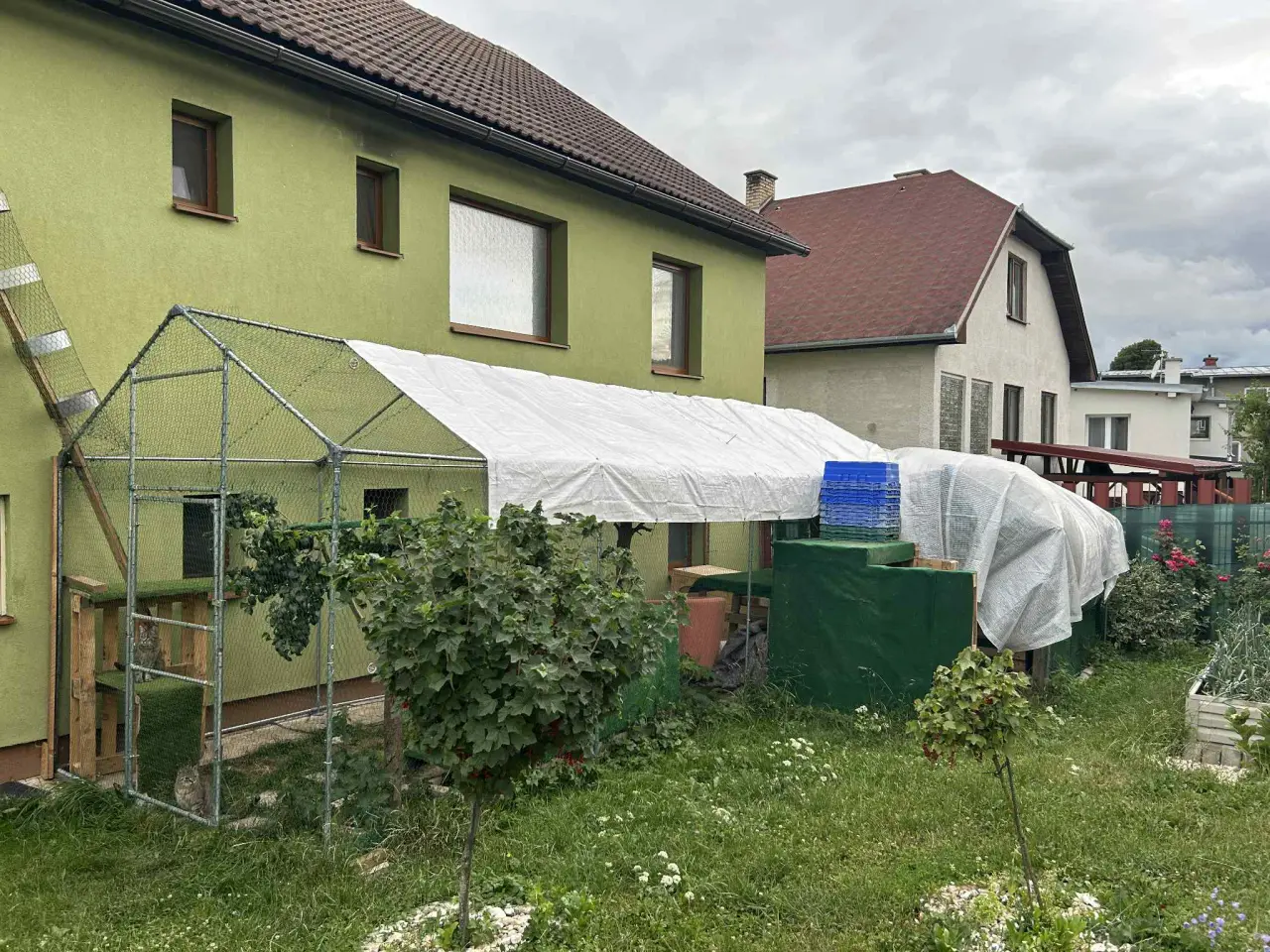 Podporili ste rozšírenie a zateplenie azylu pre mačičky - Mici Home