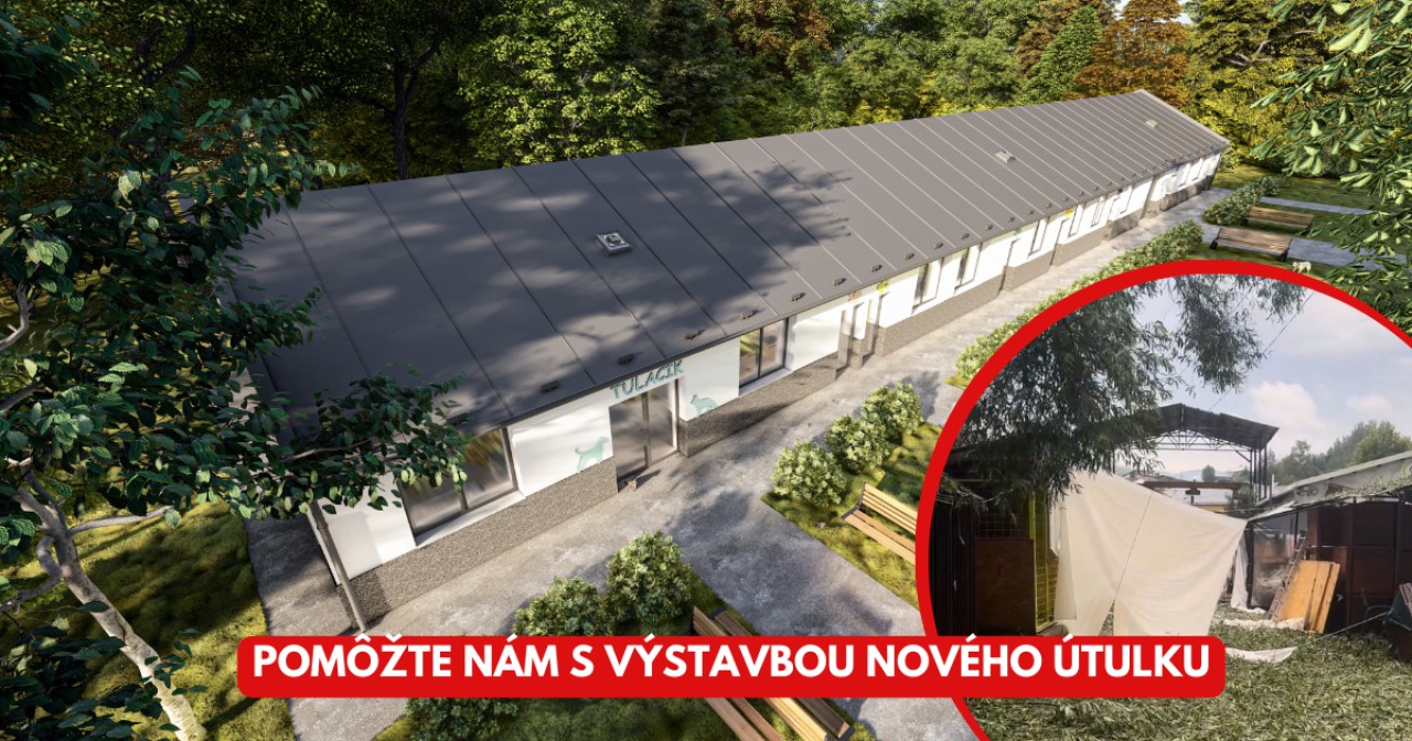 Pomôžte nám dokončiť výstavbu nového domova pre tuláčikov!