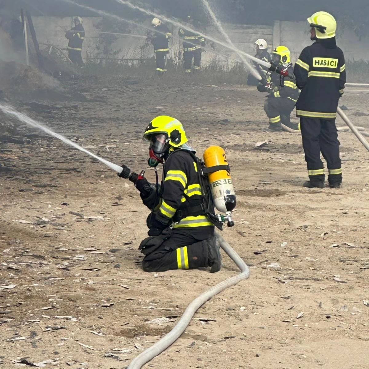 Požiar zničil slamu a maštaľ, doprajme nový začiatok pre kone v Šali.