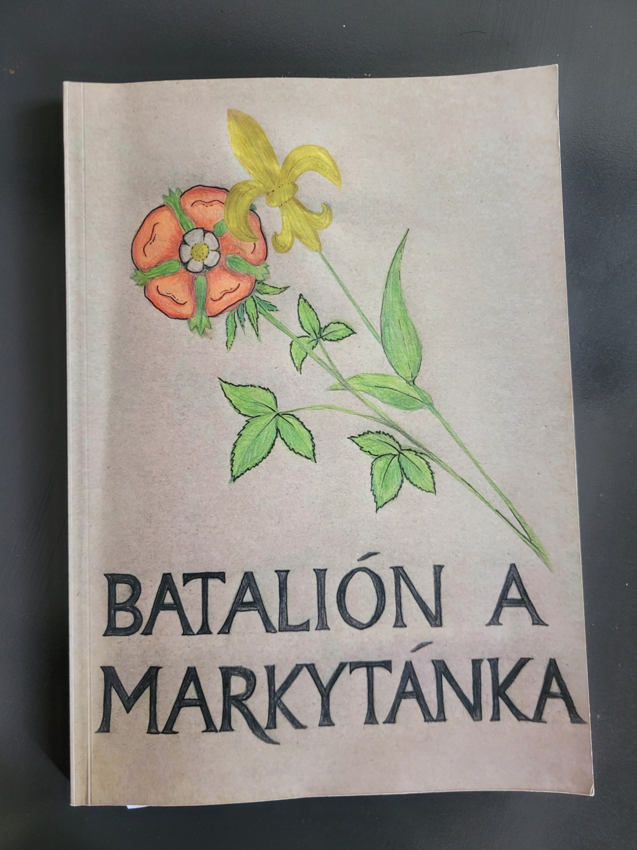 Podpor vydanie knihy Batalión a markytánka