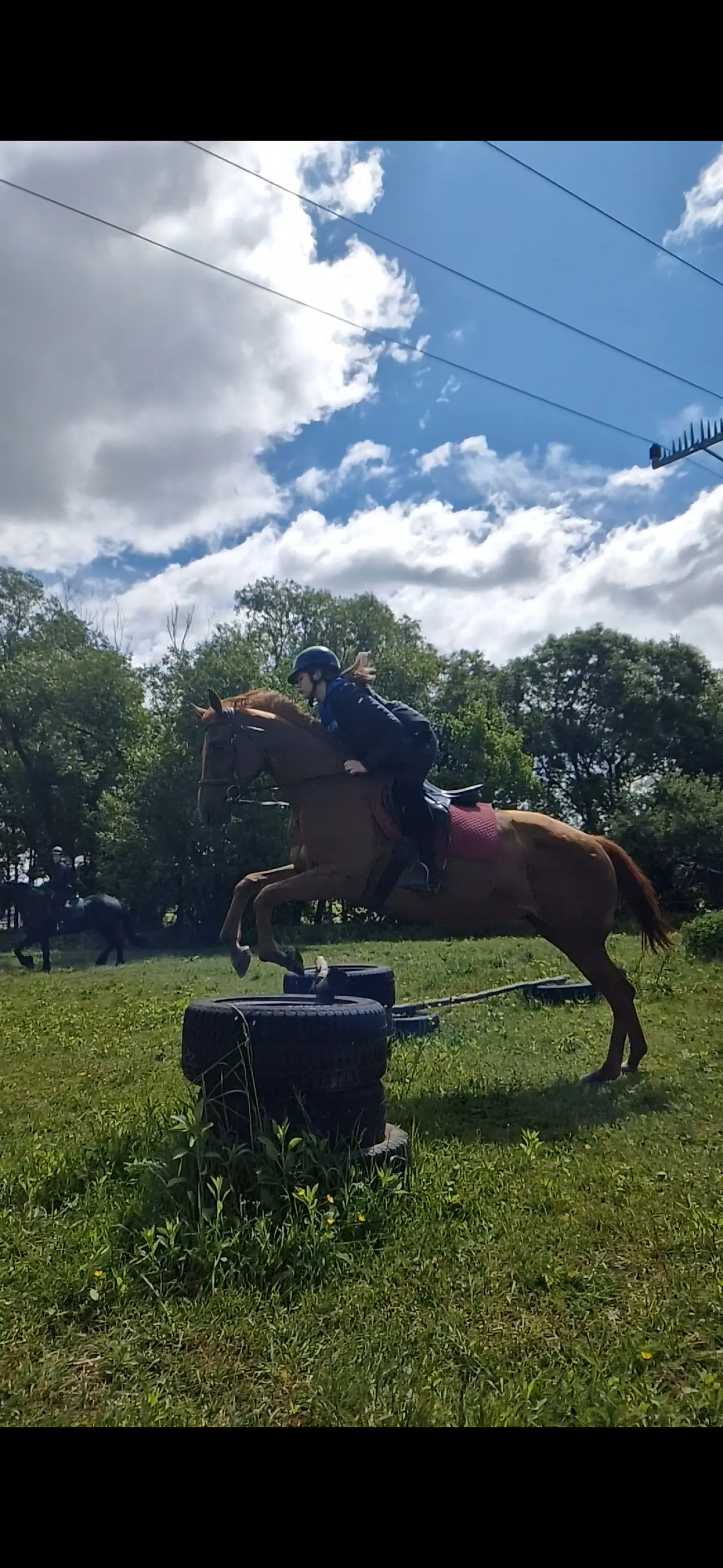 Buď pri zrode jazdeckého klubu Equestrian Elite!