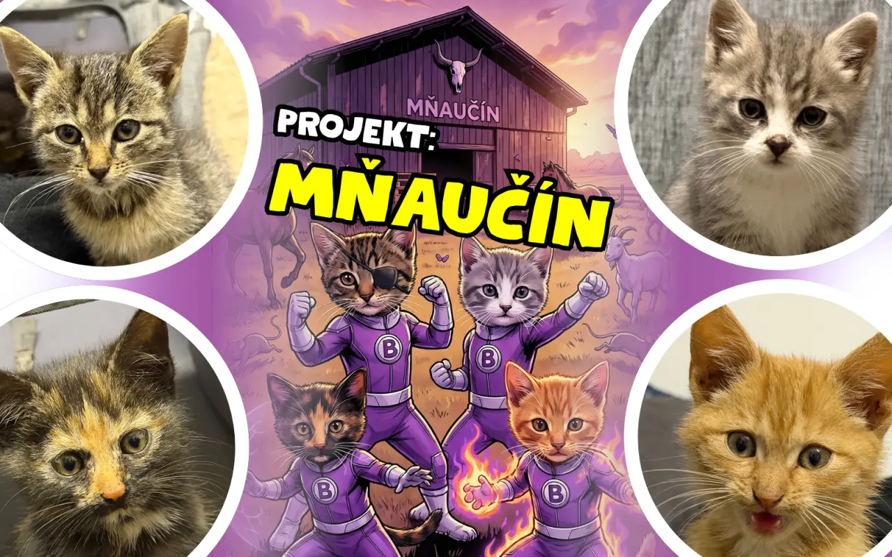 Pomohli ste vytvoriť mačací azyl na Farmalande