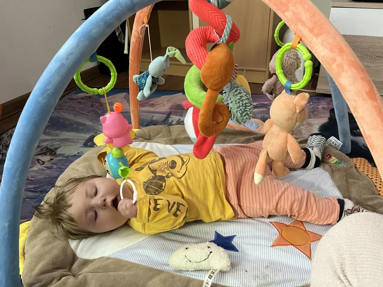 Emily bojovala o život, pomôžme jej znovu sa učiť žiť