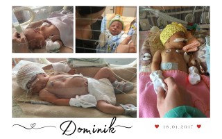 Pomôžte nám naučiť Dominika rozprávať