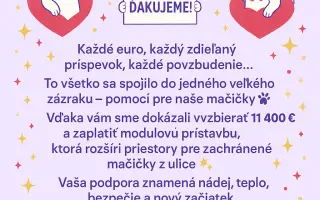 Podporte rozšírenie depozitu pre mačičky z ulice