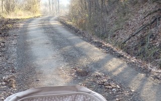 Zabezpečme Adamkovi liečbu kmeňovými bunkami