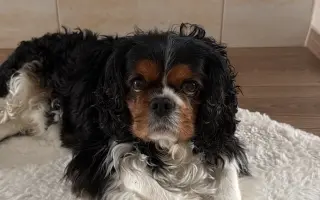 Pomôžme mladému Samkovi v boji so zlyhávanim srdiečka. Zachránime mu život.