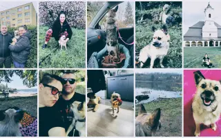Pomôžte malej bojovníčke Agátke znova voľne dýchať 🙏