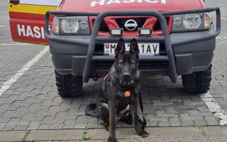 Pomôžte Torovi postaviť sa znova na všetky štyri