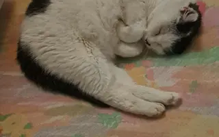 Stará chalúpka sa stala útočiskom pre tých, čo nevedia prosiť o pomoc