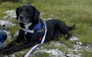 Darujme Benjimu nový život bez bolesti