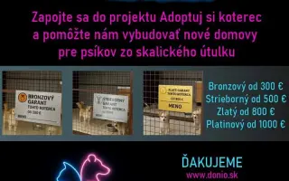 Zapojte sa do vybudovania nových kotercov v Útulku Skalica