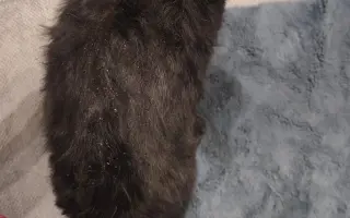 Laruška bojuje o život – pomôžme jej zvíťaziť nad bolesťou