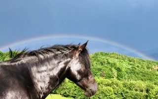 Staň sa víťazom! Podpor vznik knihy, ktorá ti vysvetlí, ako vyhrať svoj život.