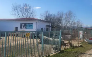 Darujme psíkom v útulku čistú vodu