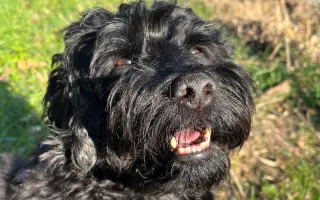 Pre Kyrka, ktorý bojuje s vážnou rakovinou