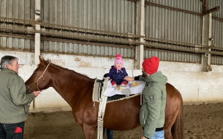 Hipoterapia - jazda na koni pre zdravie a uzdravenie