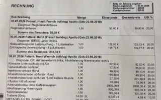 Pomôžme Apollovi podstúpiť náročnú operáciu, ktorá mu môže zachrániť život