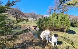 Horský Ranč – domov pre zvieratá, ktoré nikto nechcel