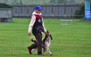 Podporme slovenské záchranárske psy na Majstrovstvách sveta 2026 v Slovinsku!