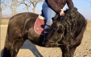 Pomôžme Sabine zbaviť sa bolesti a začať žiť naplno