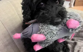 Pomôžte Kyrkovi pokračovať v liečbe vzácneho nádoru nadobličky